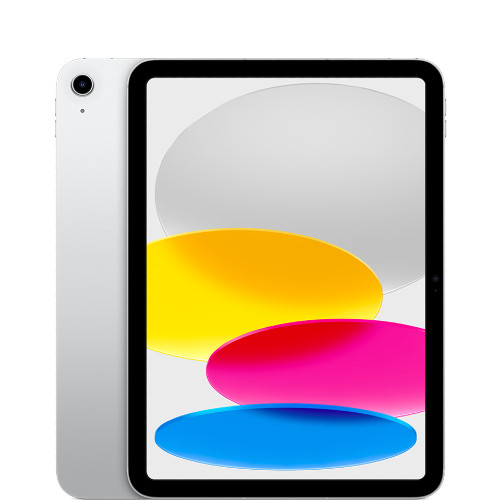 Fair Condition*: iPad (10th Gen) 256GB Wi-Fi + Cellular - Silver