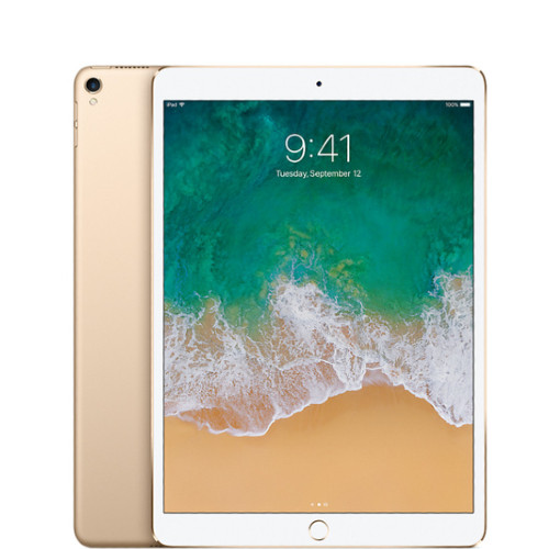 Fair Condition*: Apple iPad Pro 10.5-inch Wi-Fi + Cellular 256GB - Gold