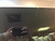 Fair Condition*: Apple iMac 21.5-inch 2.8GHz Quad-core i5 (Late 2015) MK442LL/A 6