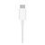 Apple MagSafe Charger MHXH3AM/A - Factory Sealed