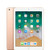 Fair Condition*: iPad (6th Gen) 32GB Wi-Fi + Cellular - Gold