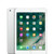 Fair Condition*: iPad (5th Gen) 32GB Wi-Fi + Cellular - Silver
