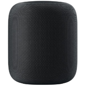 Apple HomePod - Space Gray MQHW2LL/A | mac of all trades