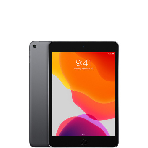 Photos - Tablet Apple iPad mini 5 IPADM5-CEL-256-SG-C 
