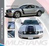 Ford Mustang FASTBACK TWO Boss Style Hood and Side Door Body Stripes Vinyl Graphics Decal Kit 2005 2006 2007 2008 2009