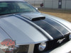 Ford Mustang FASTBACK TWO Boss Style Hood and Side Door Body Stripes Vinyl Graphics Decal Kit 2005 2006 2007 2008 2009