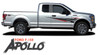 Ford F-150 APOLLO ACCENT Side Door Splash Design Rally Stripes Vinyl Graphics Decals Kit for 2015 2016 2017 2018 2019