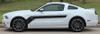 2013-2014 Ford Mustang Hood and Side Decals Stripes FLIGHT