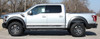 Ford Raptor F-150 Rocker Stripes Door Decals VELOCITOR ROCKER 2018 2019 2020 Premium Auto Striping