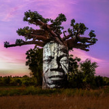 An inward journey on the Red Island