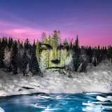 Philippe Echaroux contests climate change through striking portraits