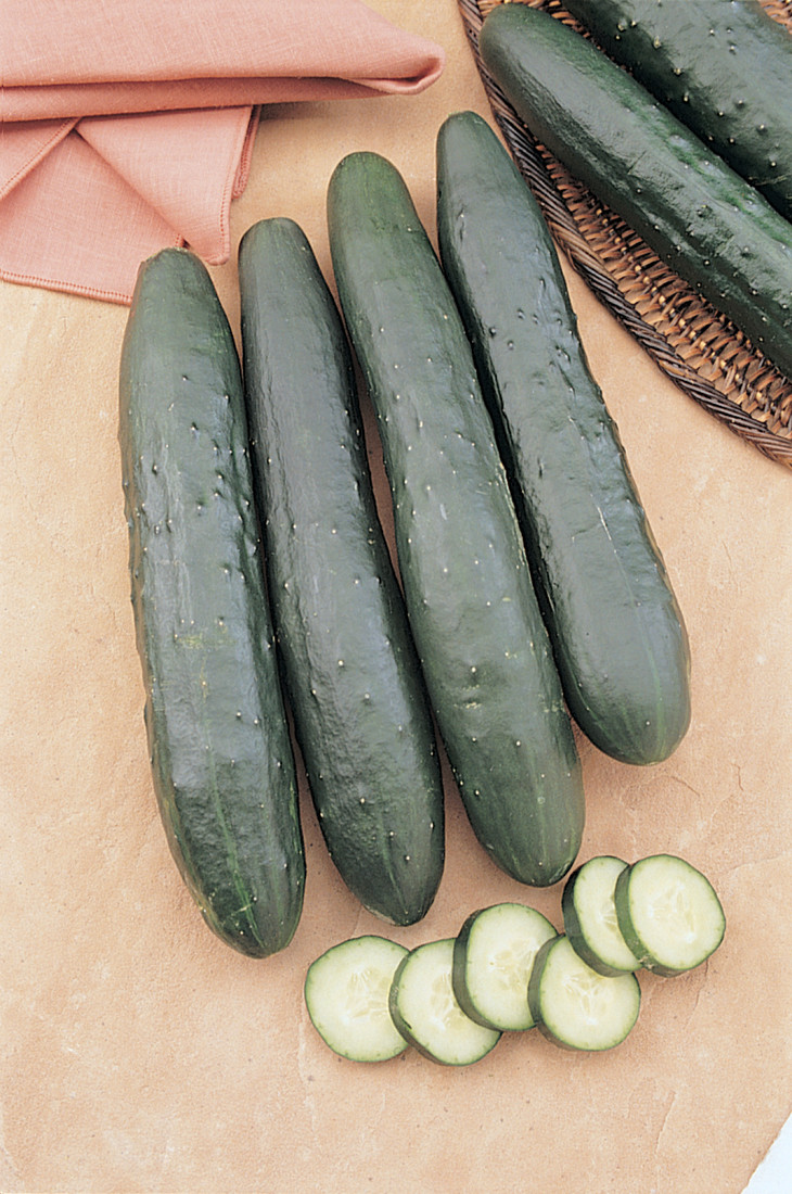 Cucumber 'Burpless Supreme'