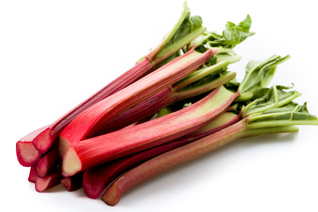 Victoria Red Rhubarb - Prairie Gardens