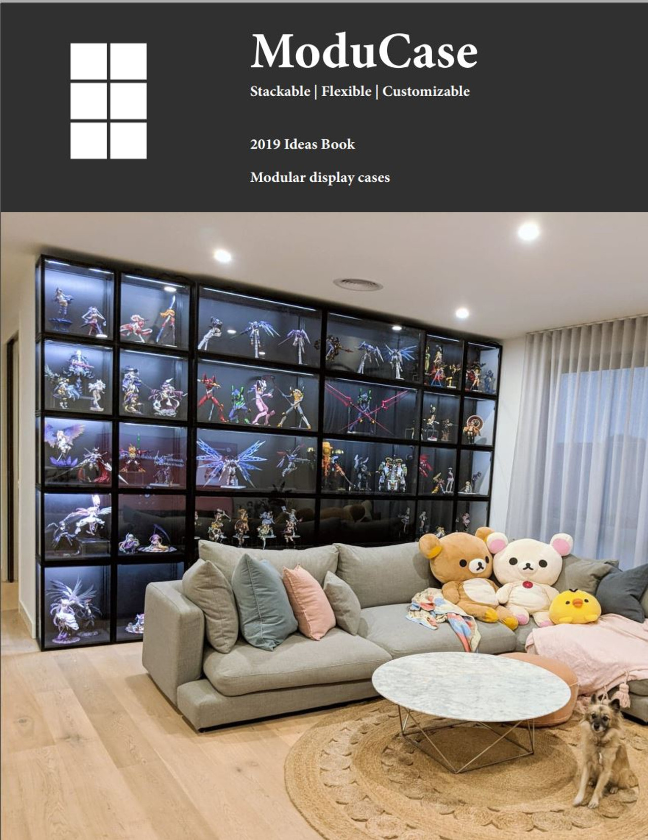 ModuCase Stackable display case