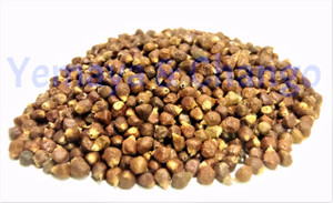 PIMIENTA GUINEA 1 OZ - GRAINS OF PARADISE PIMIENTA GUINEA 1 OZ - GRAINS OF PARADISE