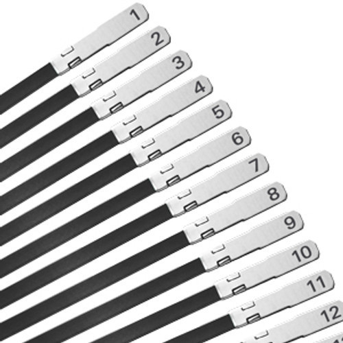 Markers – Bible, Sterling Student Edition