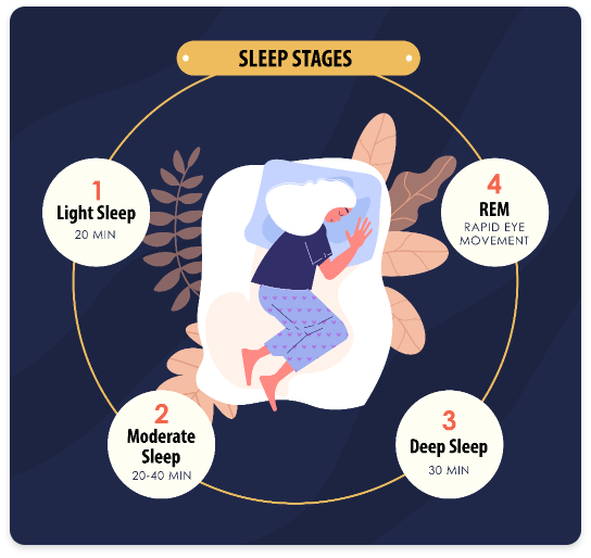 Sleep stages