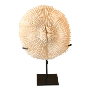 10" Sulawe White Coral with Stand(size vary) 10" Sulawe White Coral with Stand(size vary)