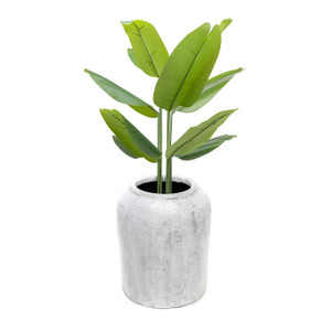 18" Cement Planter Antique White 17x17x18H Minim 2 18" Cement Planter Antique White 17x17x18H Minim 2
