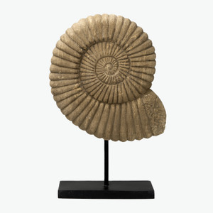 18" Stone Nautilus Statue 18" Stone Nautilus Statue