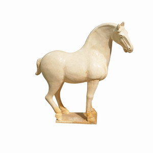 Stallion Medium - White