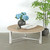 Amalfi Two Tones 47" Round Coffee Table with Round Leg Distressed White 47x47x18H