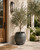 Approx 17" Vintage charcoal pottery pot extra-large (size & finish vary)