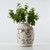 Amalfi Double Glazed Tall Vase Two Handles with Flower Motif 7.8x7.8x10.4H