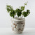 Amalfi Double Glazed Vase Large Opening with Flower Motif 10x10x10H