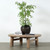 Elba Round Coffee Table Weathered Natural 50x50x17H