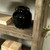 Vintage Shelf Weathered Natural Size Vary Approx. 31x16x65H PRE-ORDER ONLY Vintage Shelf Weathered Natural Size Vary Approx. 31x16x65H PRE-ORDER ONLY