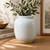 10" High Clara Vase with Unglazed Base