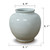 9" Wide Clara Round Vase with Unglazed Base