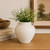 Approx.6 Inches White Porcelain Jar with Two Handles
