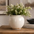 Approx. 8" High Off White Ceramic Jar Round (5.5" Opening)