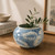 Approx. 9 Inches Wide Blue and White Pot with Floral and Leaf Motif