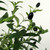 Approx. 83 Inches High Artificial Olive Tree
