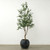 83240008 Approx. 17" High Vintage Gray Pot is a perfect fit for this plant.