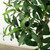 Approx. 83 Inches High Artificial Olive Tree