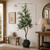 Approx. 83 Inches High Artificial Olive Tree