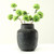 Approx. 13" H Vintage Appeal Charcoal Gray Vase (6.3" opening)