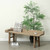 Approx. 65 Inches Wide 23.6 Inches High Live Edge Vintage Bench Weathered Natural