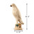 Approx. 10 Inches High Creamy White Glazed Parrot Medium