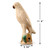 Approx. 12 Inches High Creamy White Glazed Parrot Large