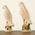 Approx. 12 Inches High Creamy White Glazed Parrot Large
