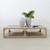 Ming Arche Coffee table Weathered Whitewash 55x33x16