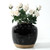 Approx. 7-9 Inches High Vintage oil pot with black glaze Medium (size vary)