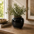 Approx. 4-6 Inches Tall Vintage Oil Pot with Black Glaze
