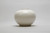 10" Creamy White Round Pot