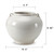 8" Creamy White Round Pot with Two Handles